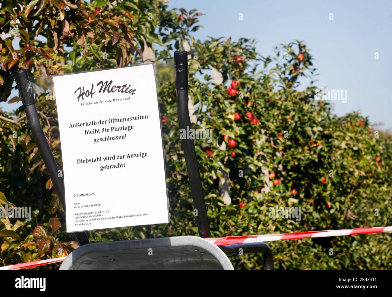 Dortmund, Germany. 29th Sep, 2022. Tina Höfer from the Mertin farm tries to protect her apple orchard with a warning sign and flutter tape. Fruit and vegetable thieves worry many farmers. Sometimes perpetrators came to the field at night with trailers or vans and packed them full. (to dpa: 'Stealing apples with a trailer - fruit thieves cause farmers problems') Credit: Roland Weihrauch/dpa/Alamy Live News Stock Photo