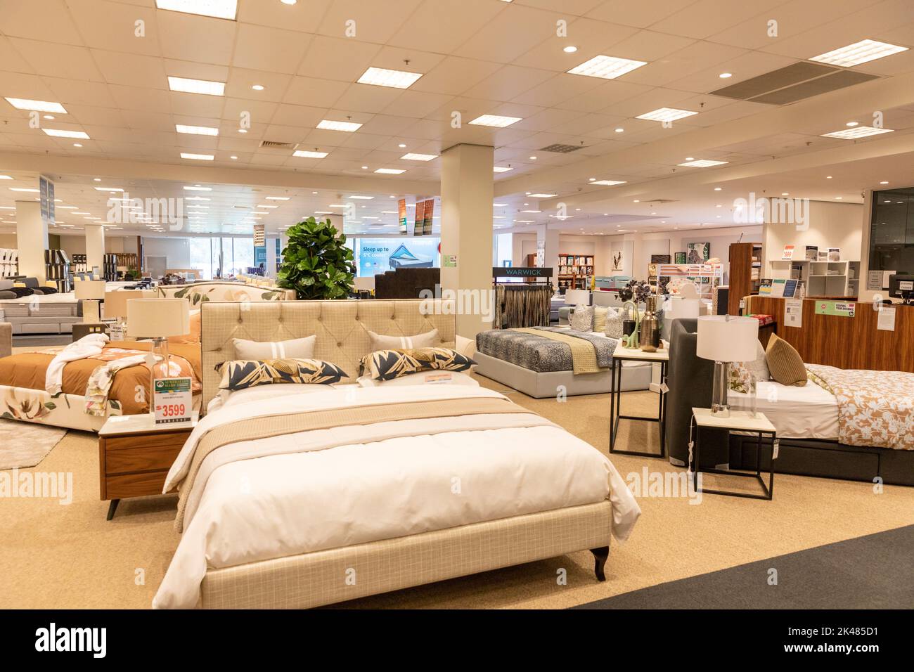 Beds for sale in Australian retail store branch of Domayne Harvey Norman in Belrose shopping mall,Sydney,NSW,Australia Stock Photo