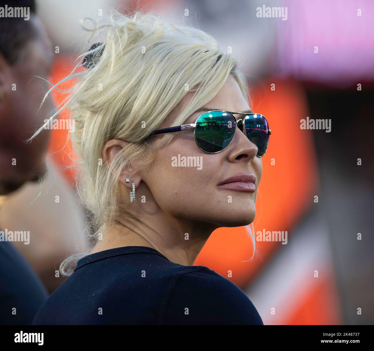 Bailie scott hires stock photography and images Alamy