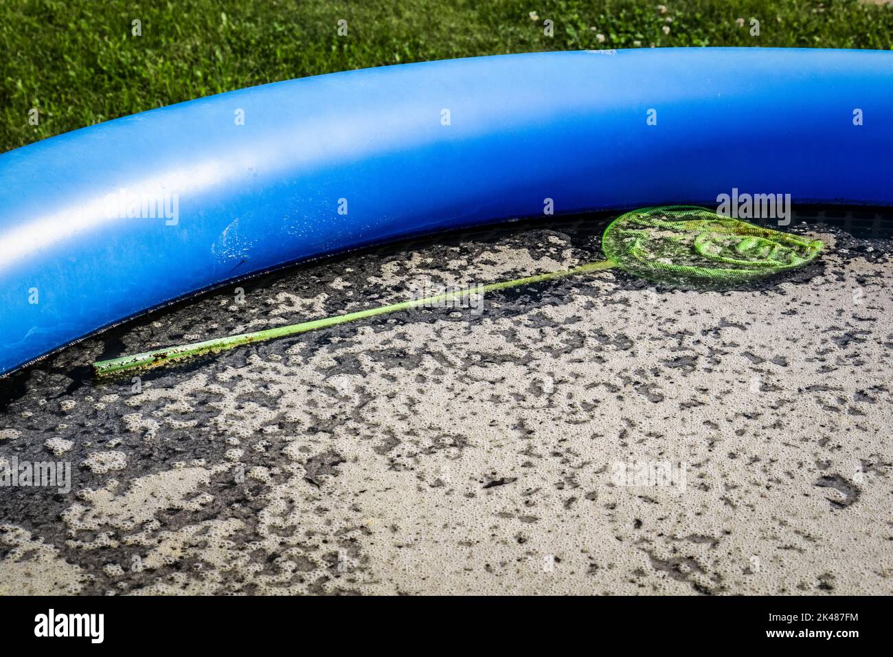 Dirty stagnant water in an abandoned inflatable pool. Stock Photo