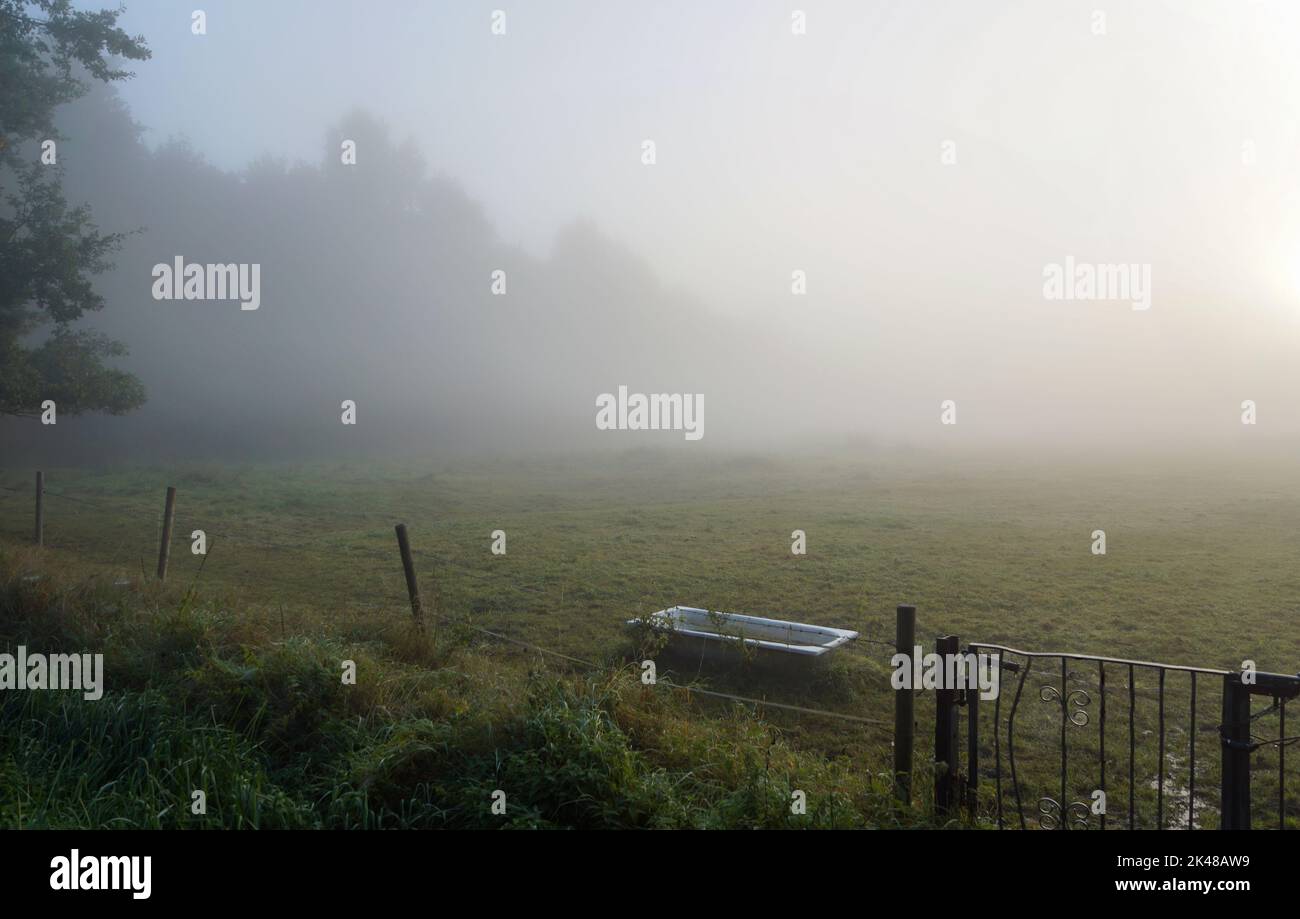 Nebelmorgen im Lipperbruch Stock Photo