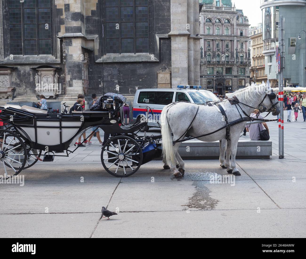 VIENNA, AUSTRIA - CIRCA SEPTEMBER 2022: Horses and carriages Stock Photo