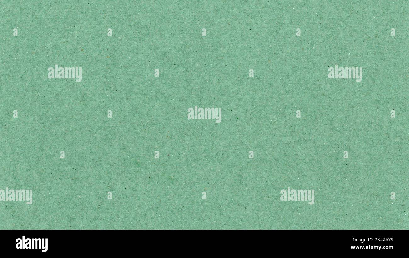 light green paper texture useful as a background Stock Photo