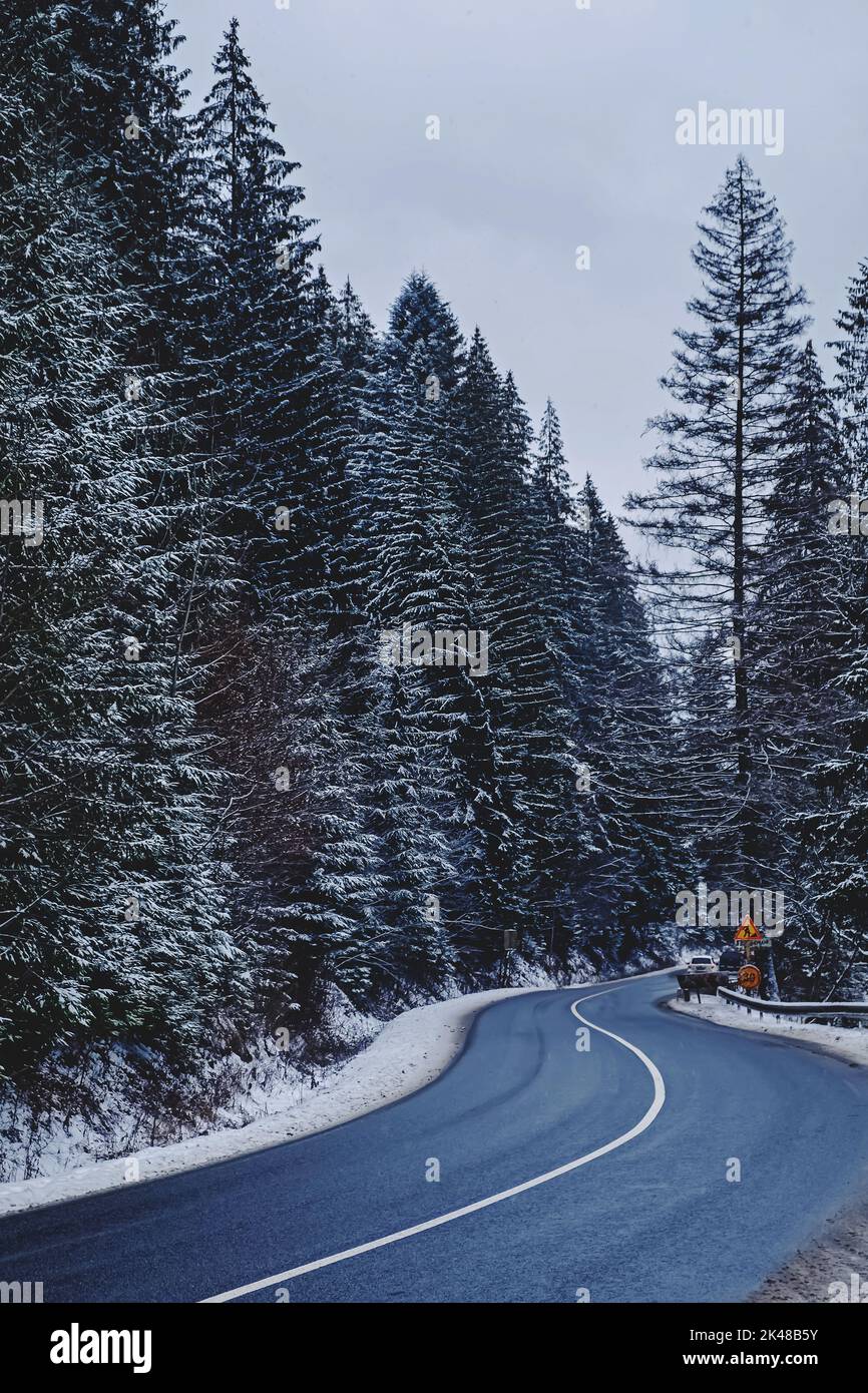 Empty windy road through the winter forest, trees covered with snow Stock Photo