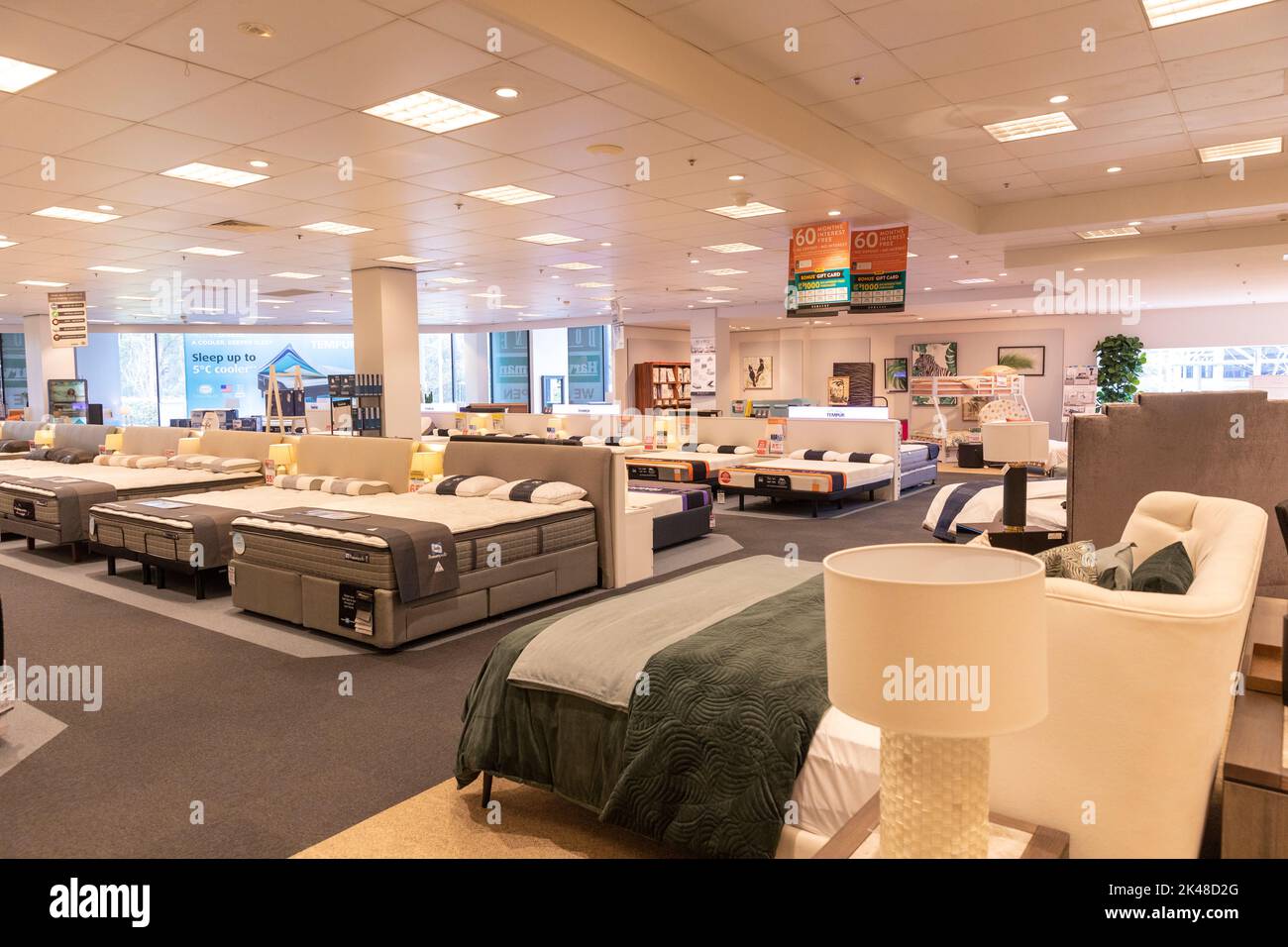 Beds on display for sale in a Domayne Harvey Norman store in Belrose Sydney,NSW,Australia Stock Photo