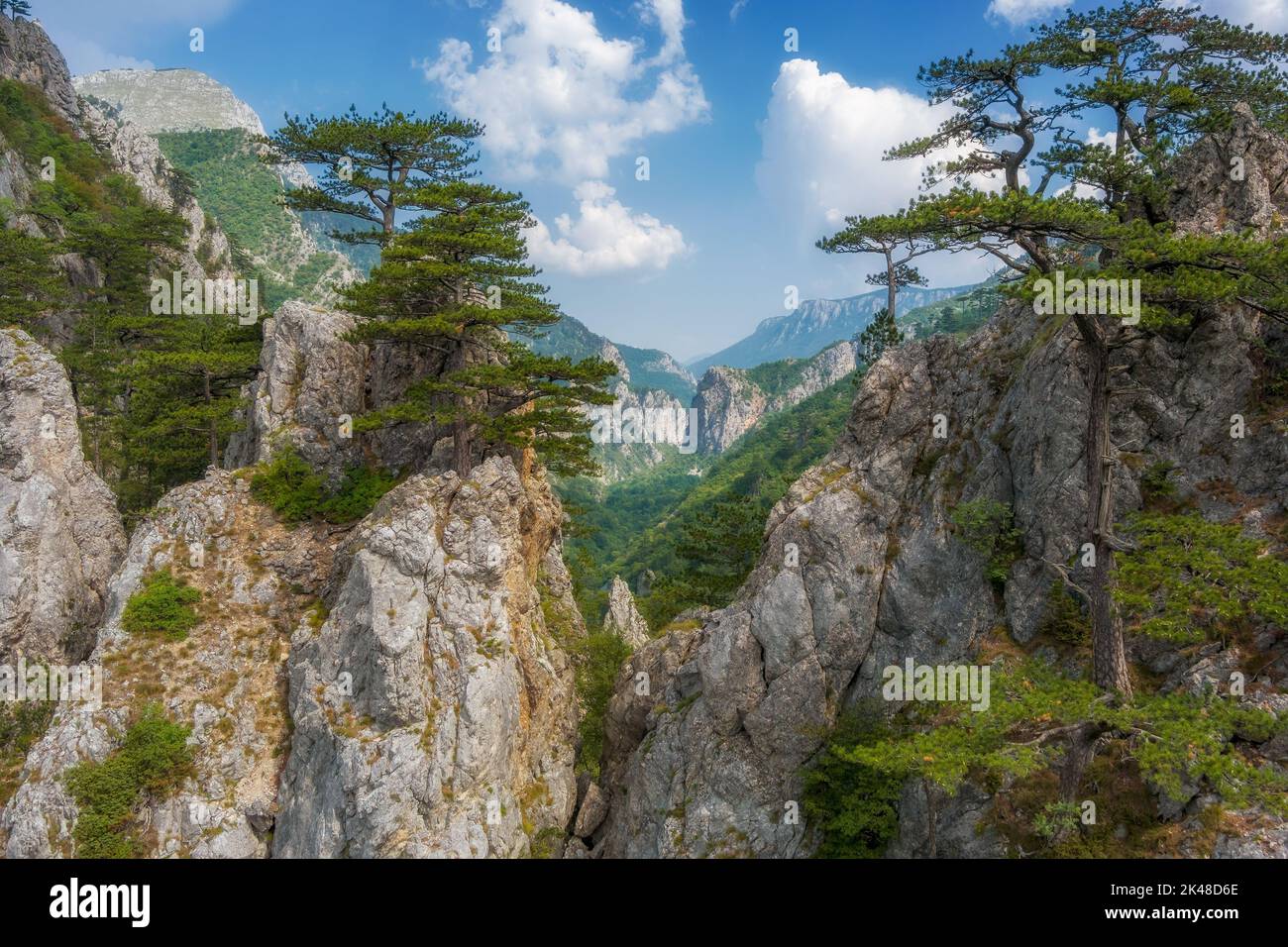 Pine tree on the rocks mountains landscape Stock Photo - Alamy