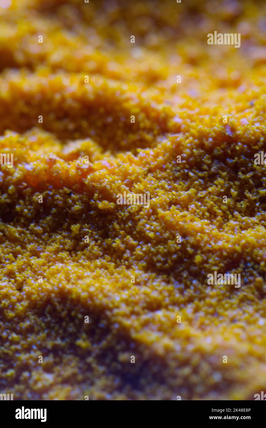 turmeric grains macro Stock Photo