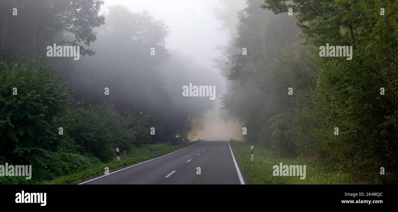 Nebelmorgen auf Allee zw Lipperbruch und Lipperode Stock Photo
