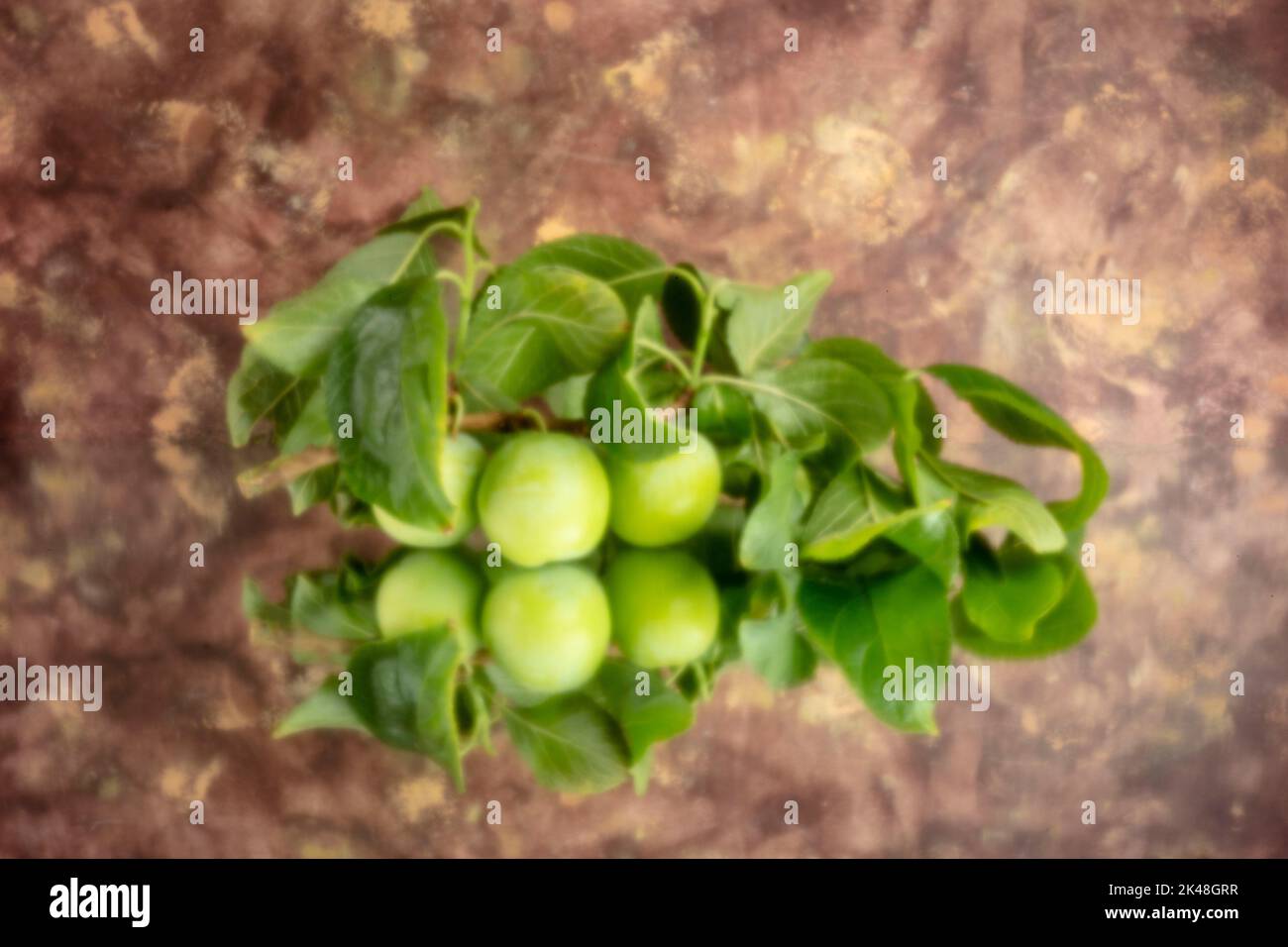 Agedefying, digital age, premium quality, eyecatching, standout