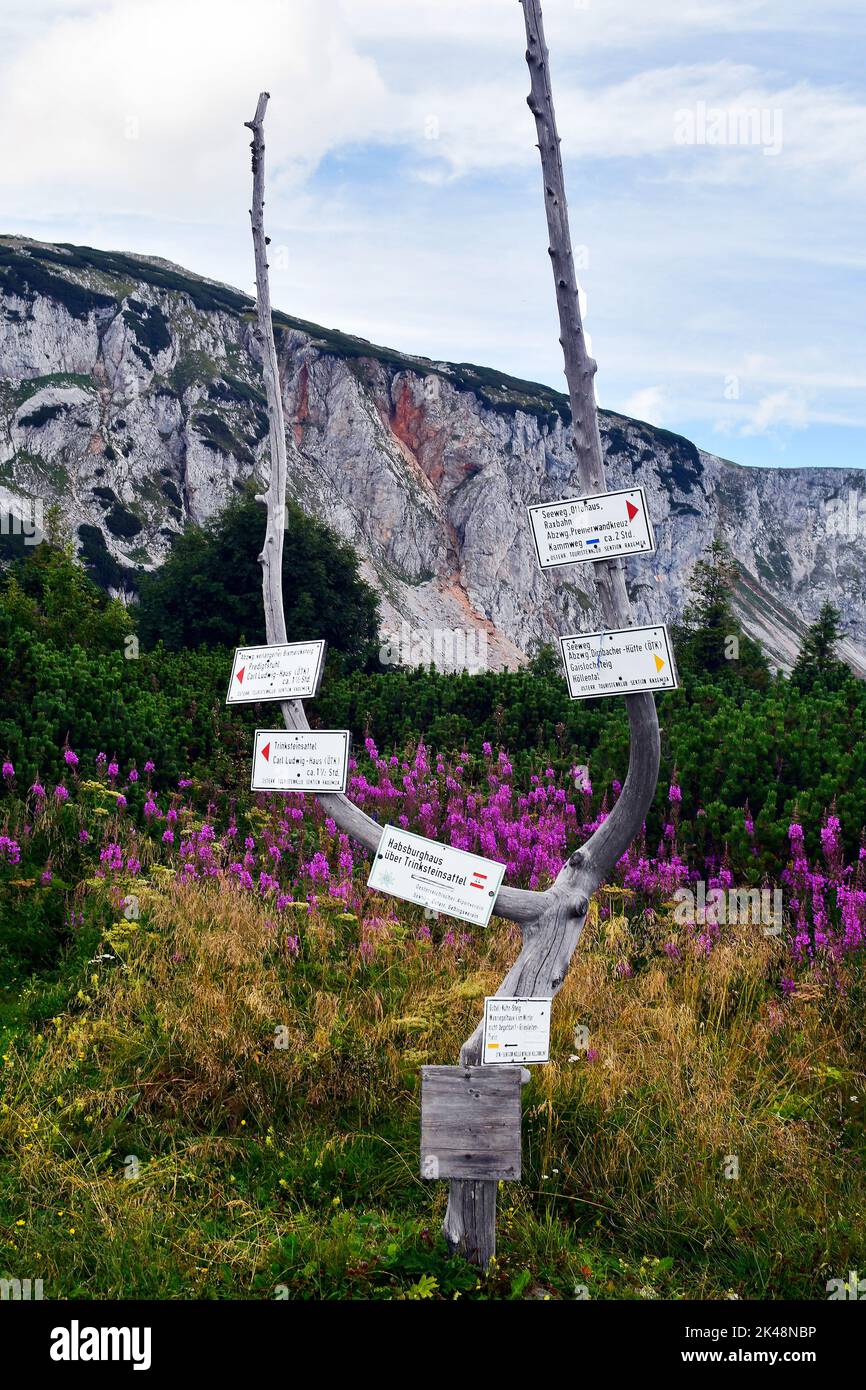 Austria, Rax mountain in Lower Austria, signpost with times to various huts and hiking trails Stock Photo