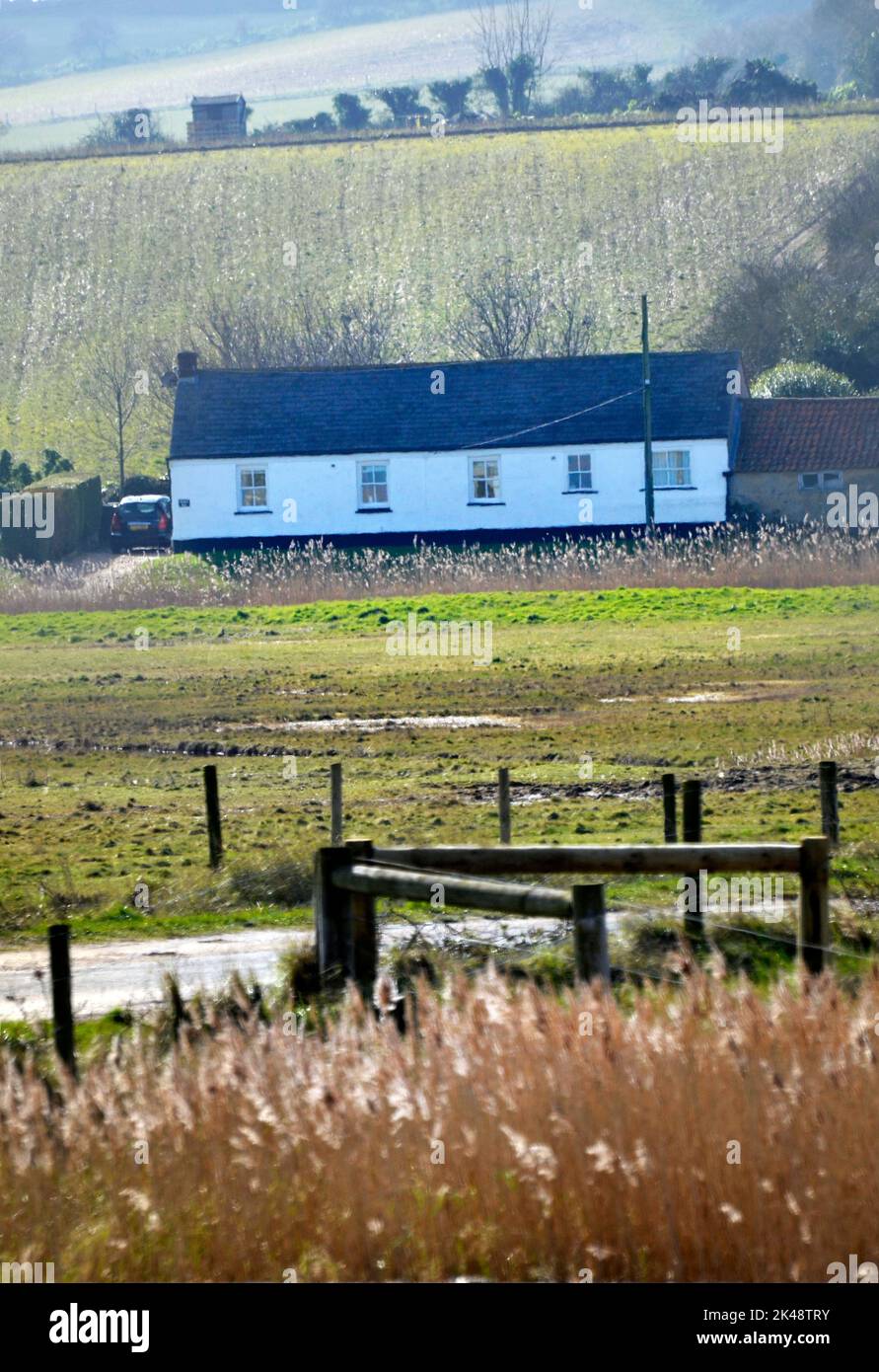 isolated country cottage and  saltmarshs at salthouse near blakeney north norfolk england Stock Photo