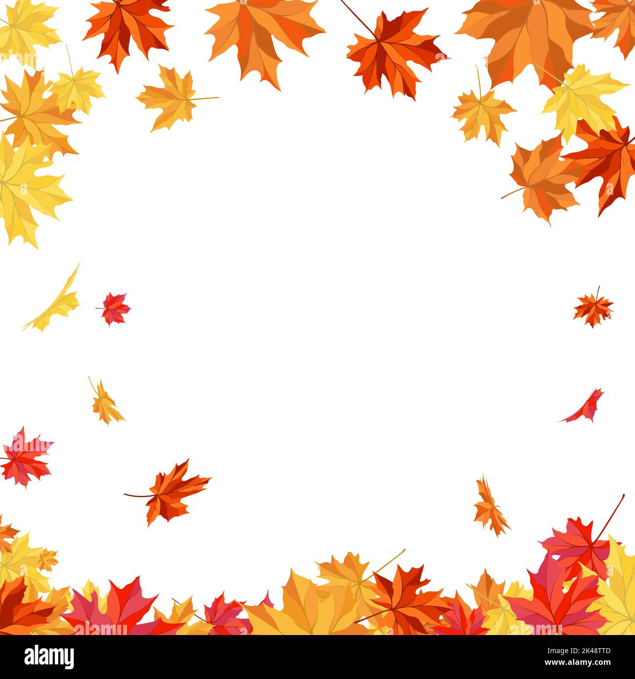 Autumn Frame With Blowing Maple Leaves Over White Background. Elegant ...