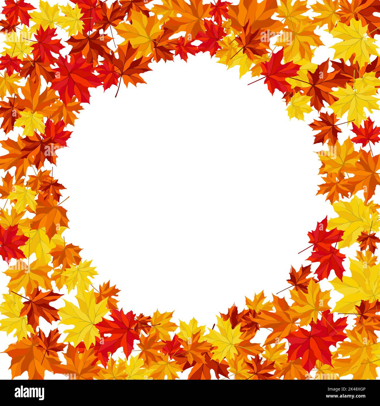 Autumn Frame With Blowing Maple Leaves Over White Background. Elegant ...