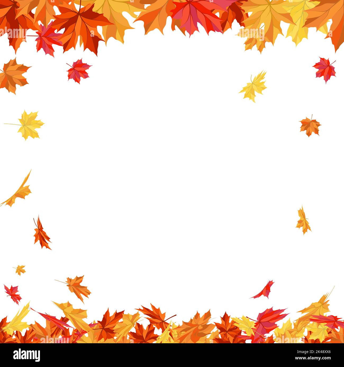 Autumn Frame With Blowing Maple Leaves Over White Background. Elegant ...