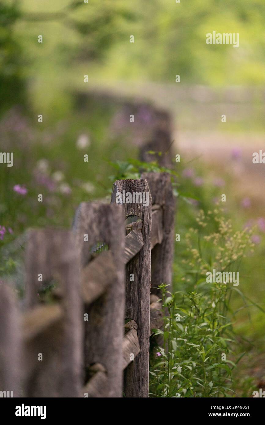 A country road with a fence lining it. Stock Photo