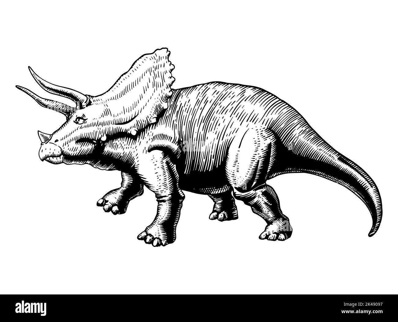 triceratops dinosaur sketch, vector drawing black on white background. Stock Vector