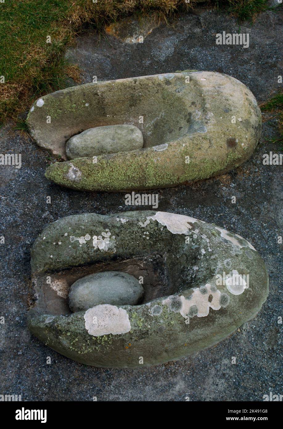 Trough querns & moulers used for grinding grains (bere) & other foodstuffs inside a Bronze Age house at Jarlshof settlement, Shetland, Scotland, UK. Stock Photo