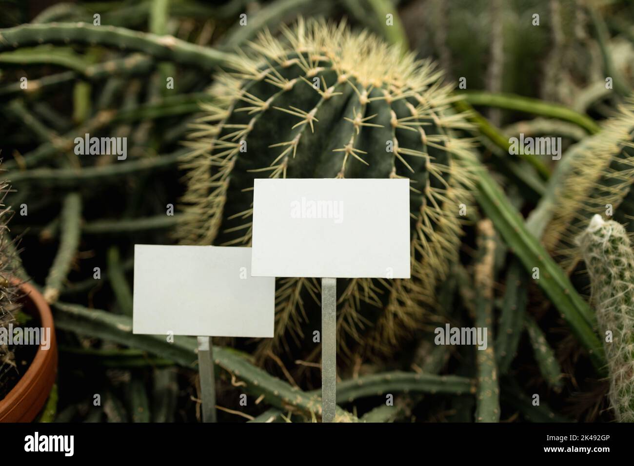 Empty mockup template Blackboard label at farm land. Copy space banner