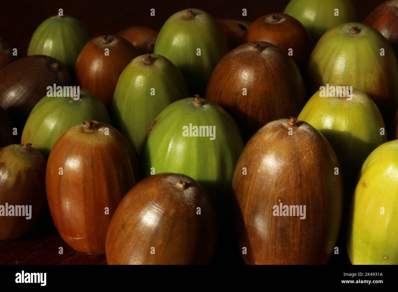 Close up of acorns of various styles, ages, and colours. Symmetrical acorn background with upside down acorns arranged in rows. Texture for nuts seeds Stock Photo
