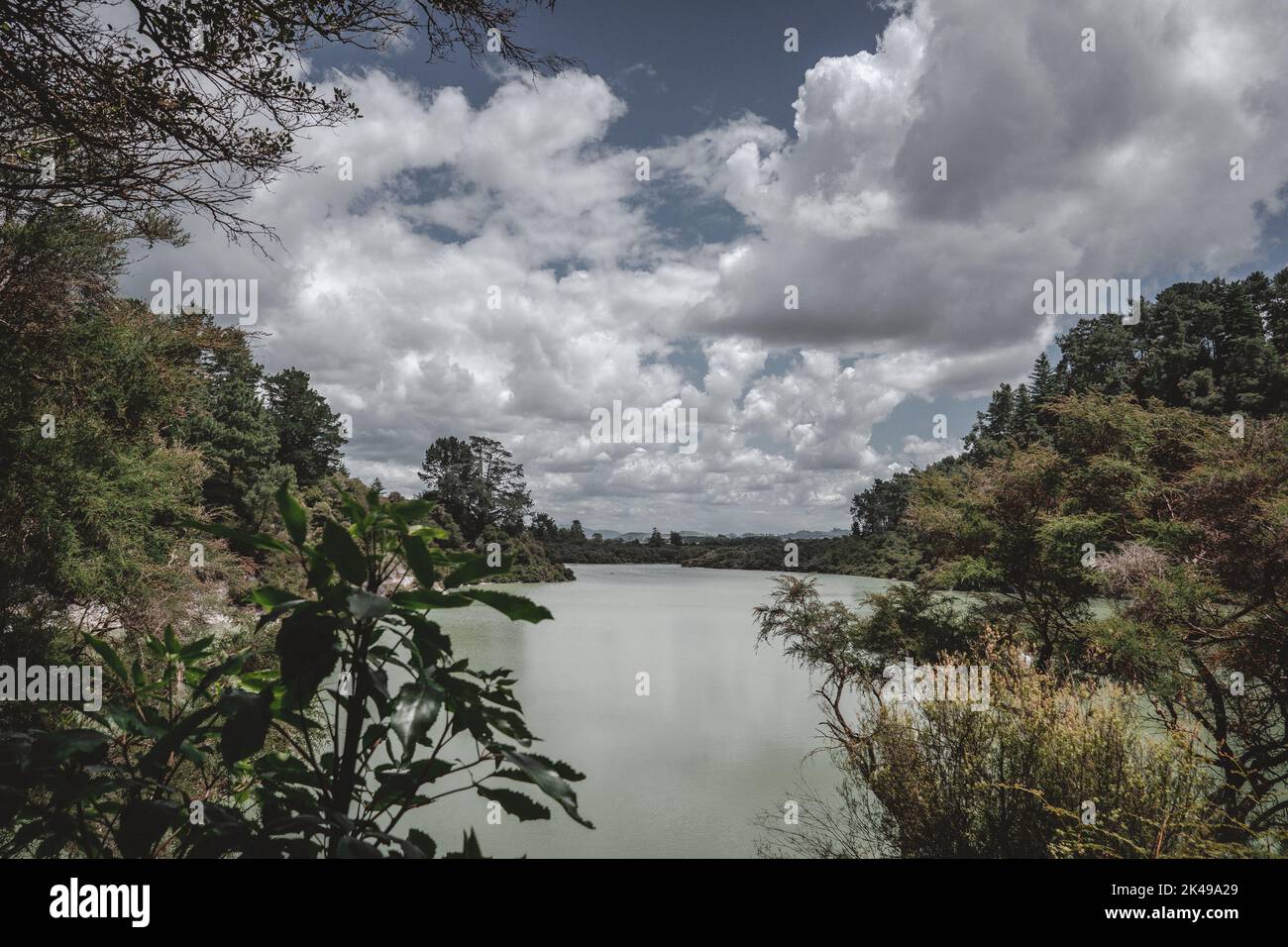 rotorua lake view from the forest Stock Photo