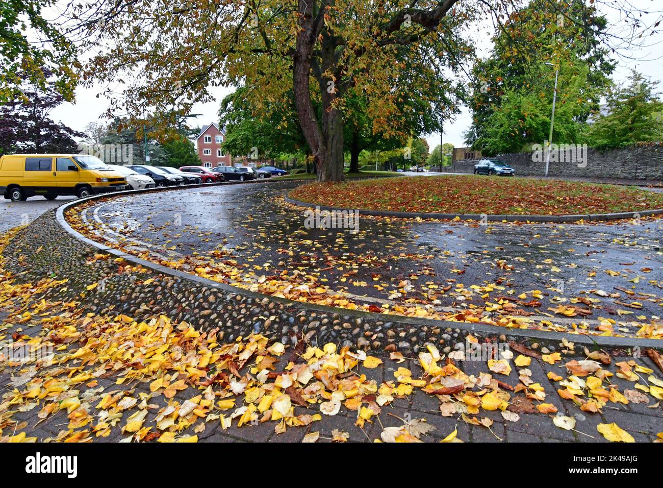 On a damp and wet afternoon in Nailsea , North Somerset in the UK. Fallen leaves in a mass of Golden Colour line the walkway and pathways. Stock Photo