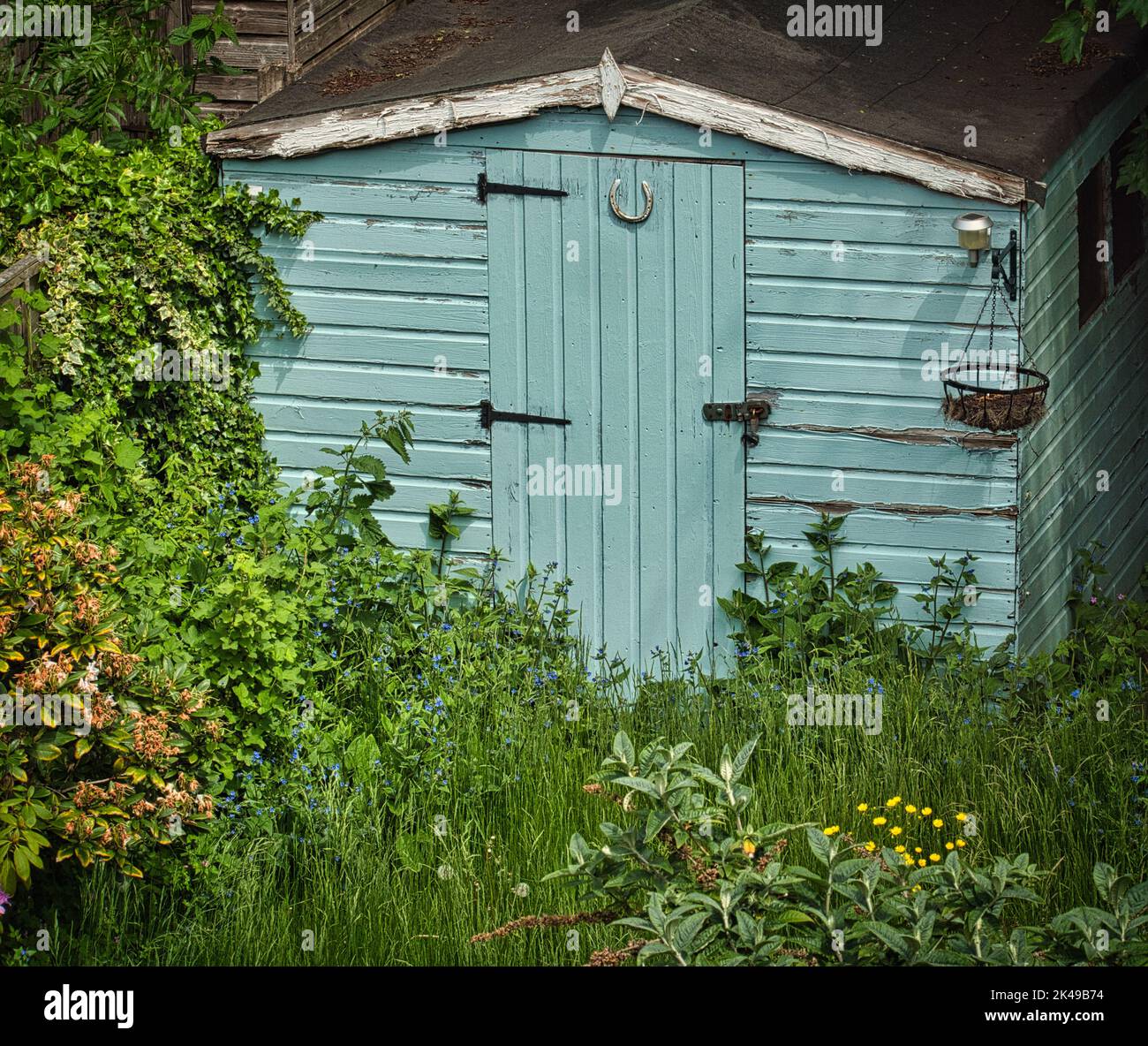 Garden shed swamped in plants Stock Photo