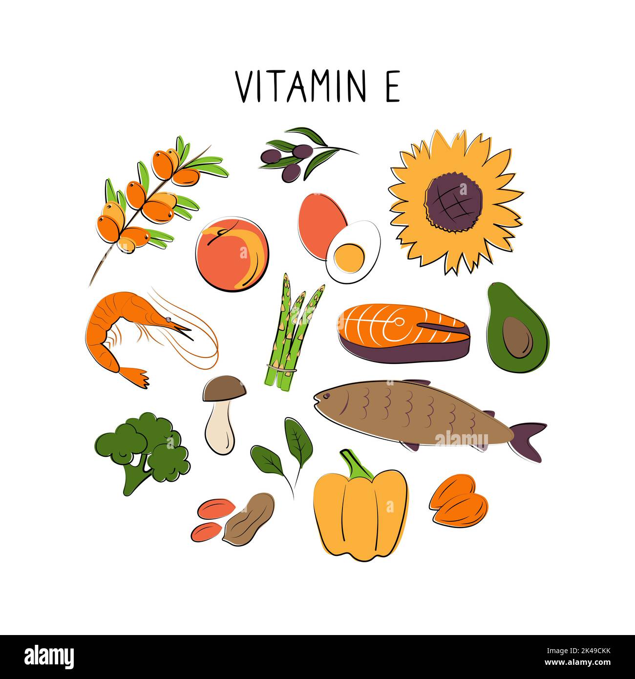 Vitamin E tocopherol. Groups of healthy products containing vitamins
