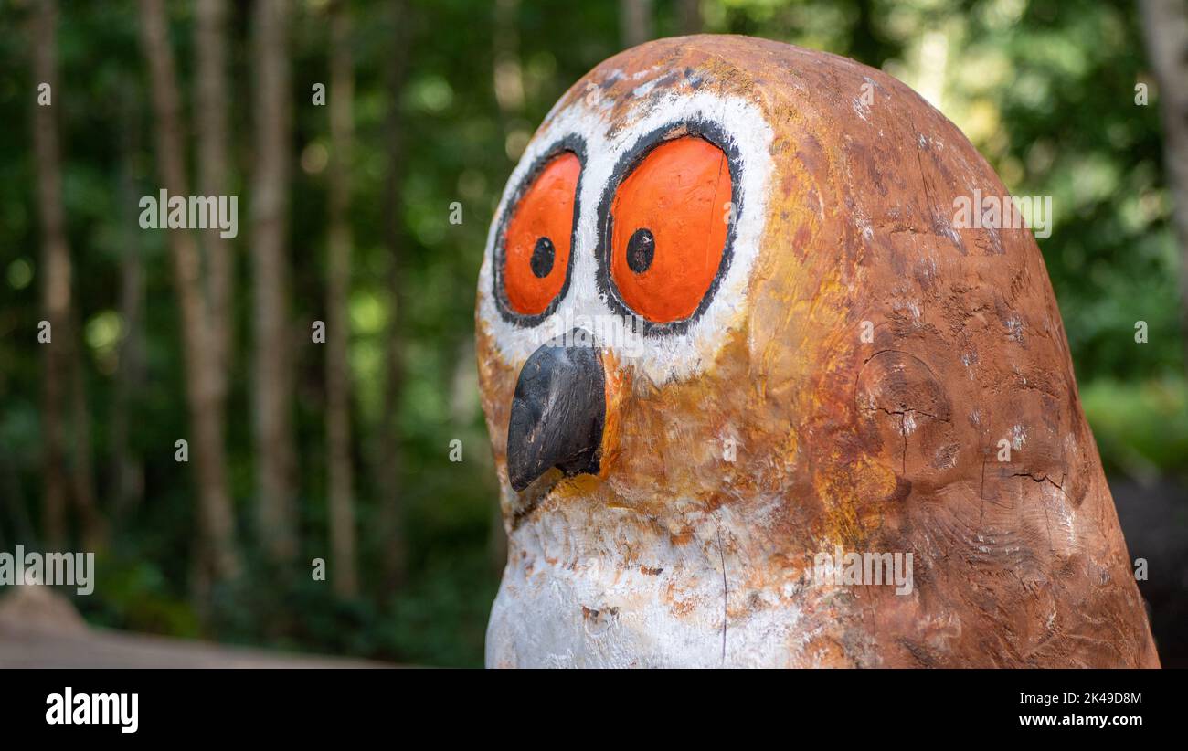 A wooden owl sculpture on the Gruffalo trail in Thorndon Country Park near Brentwood, Essex. Stock Photo