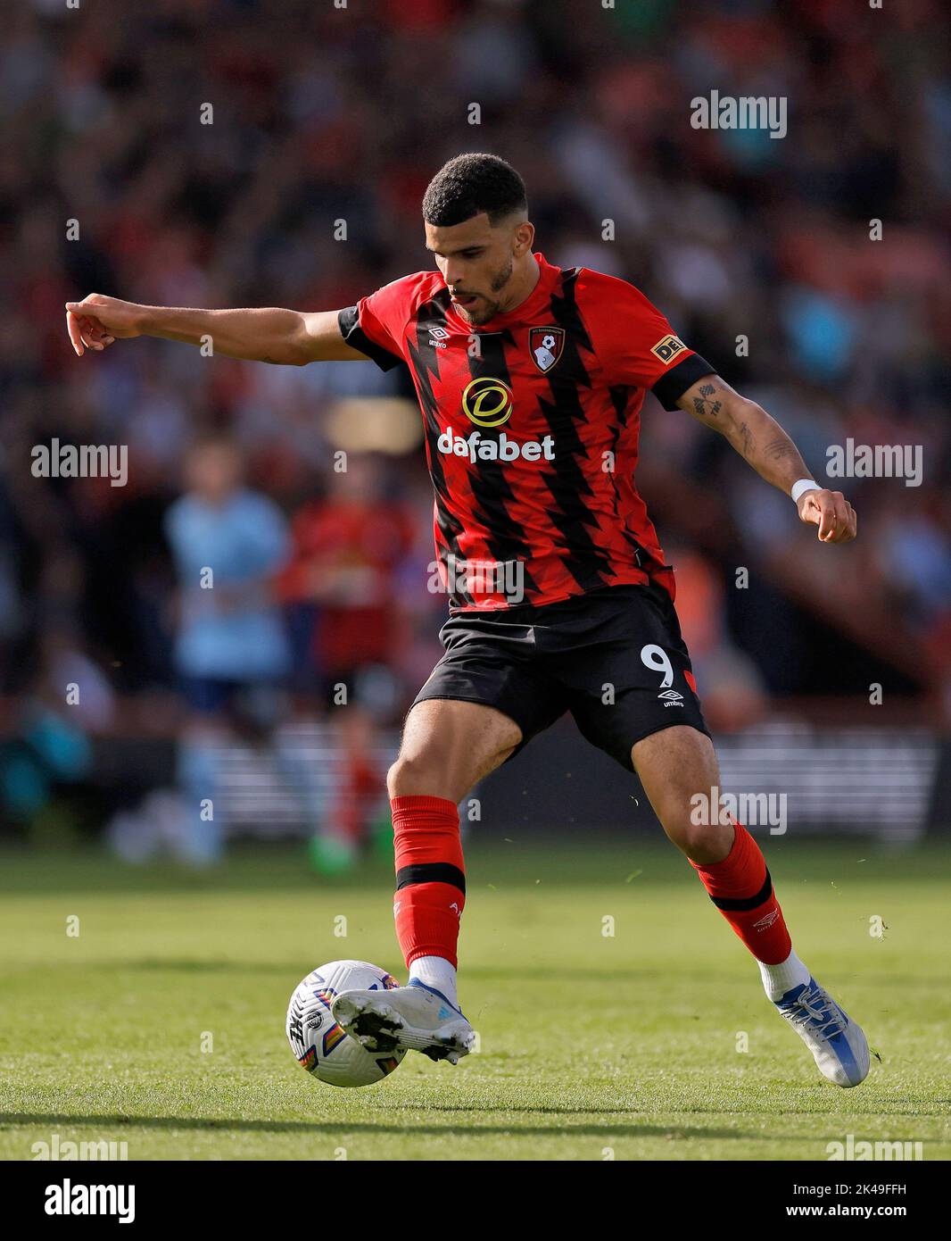 Bournemouth's Dominic Solanke during the Premier League match at the Vitality Stadium, Bournemouth. Picture date: Saturday October 1, 2022. Stock Photo