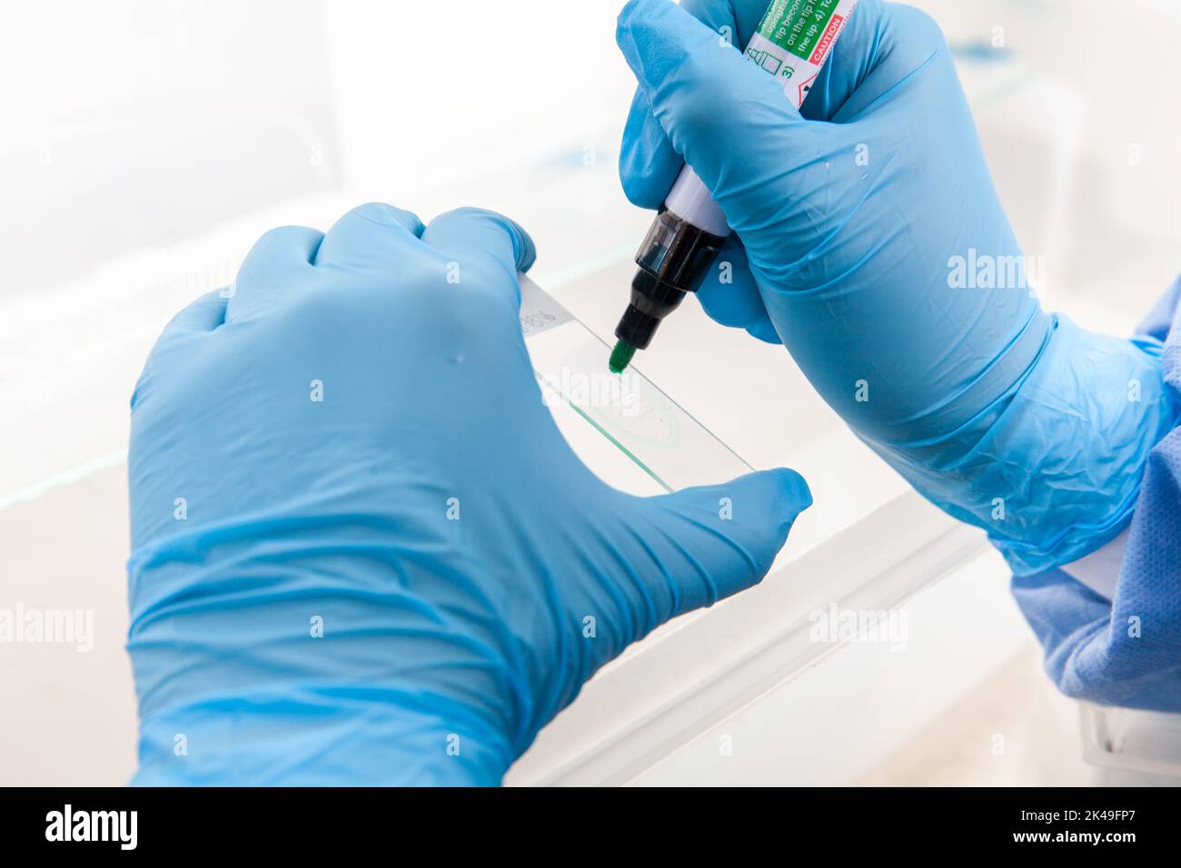 Scientist preparing slides with paraffin embedded tissue samples for