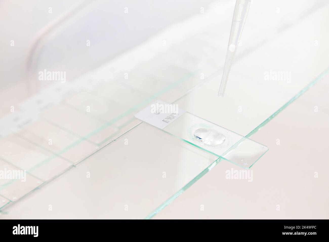 Scientist preparing slides with paraffin embedded tissue samples for