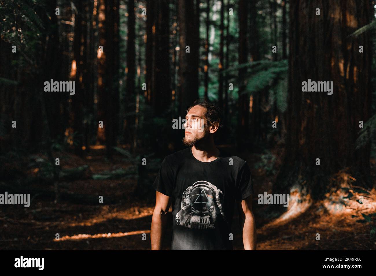 caucasian boy in black t-shirt looking into the sunlight in lush forest, redwood treewalk, rotorua, new zealand Stock Photo