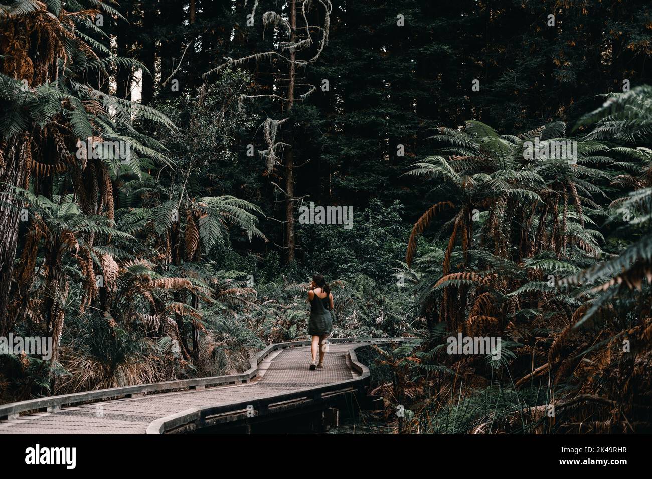 caucasian girl calmly walking on the wooden walkway among the trees and