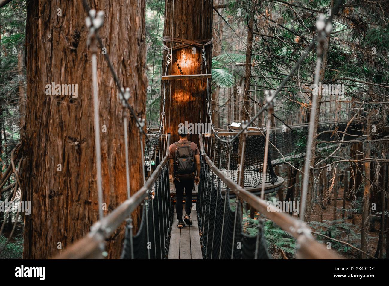 caucasian boy with backpack sandals and brown t-shirt walking backwards along the narrow walkway between the trees in the forest, redwood treewalk Stock Photo