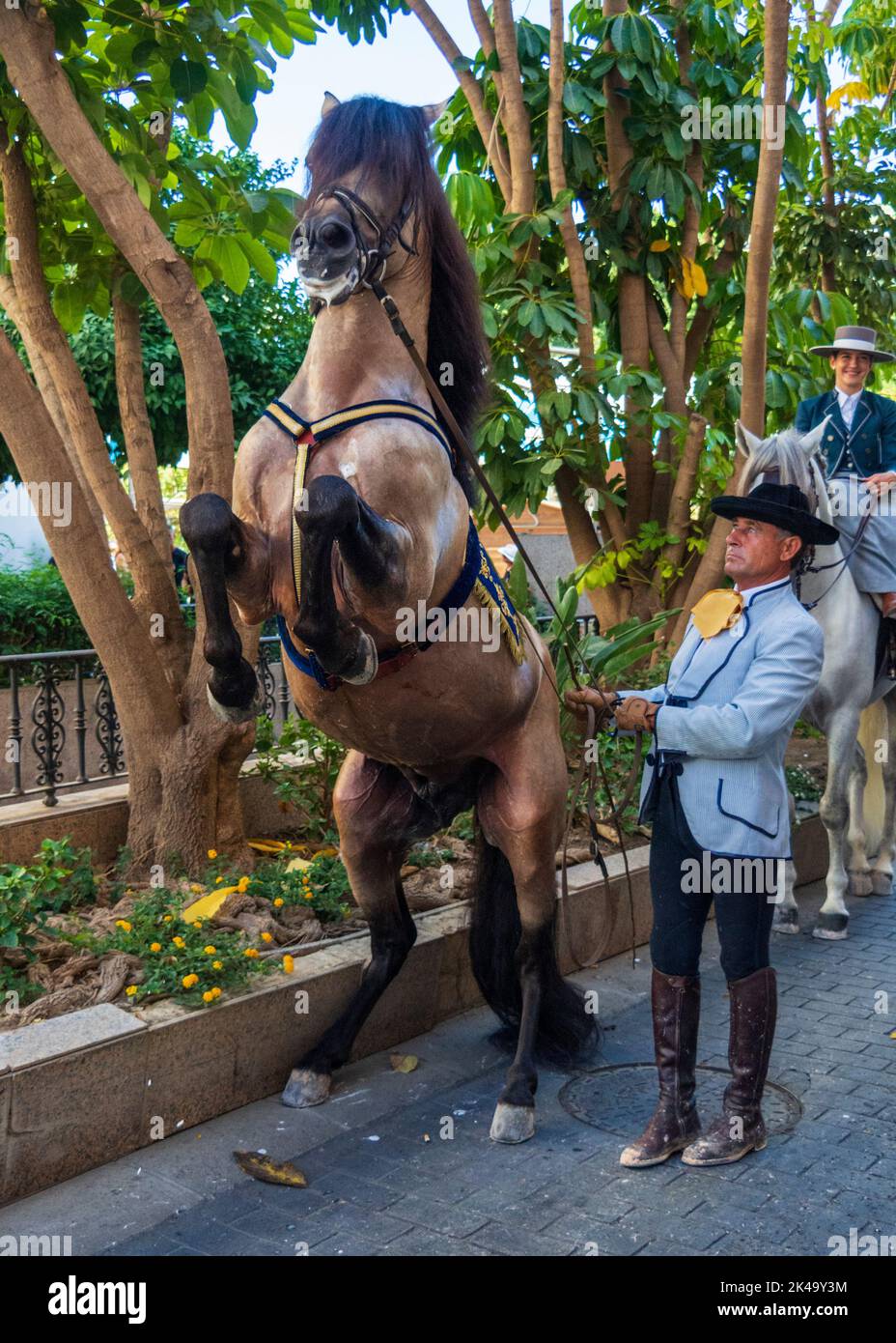 Fuengirola, Malaga, Spain. 09/17/2022. Dressage exhibition during the