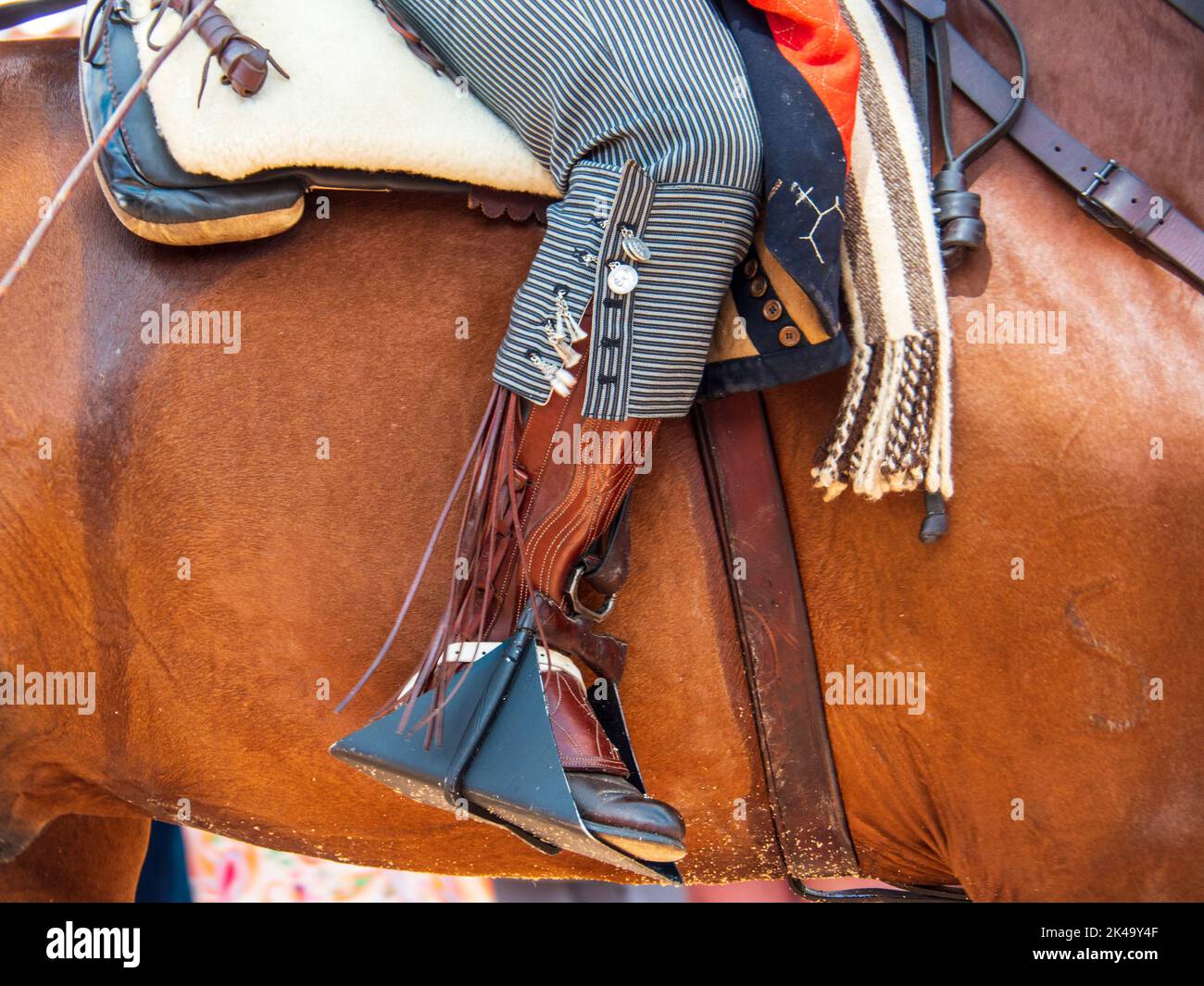 Stirrup of the saddle of a purebred Spanish horse during the