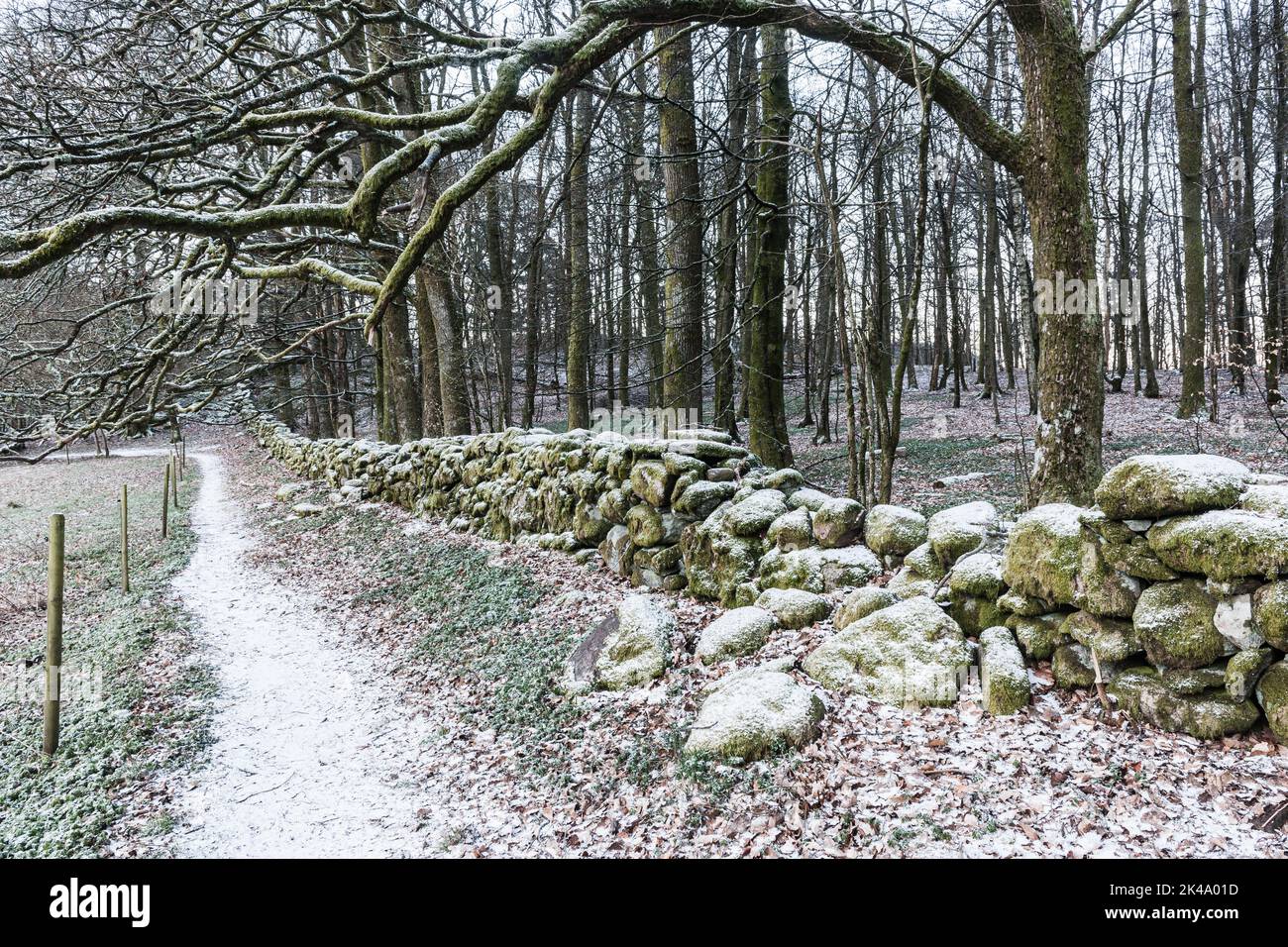 Stone wall and snow covered trail Stock Photo