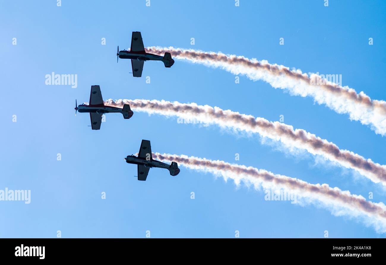 August 30, 2019, Moscow region, Russia. Yakovlev Yak-50 training aircraft of the Lithuanian aerobatic group ANBO perform aerobatics. Stock Photo