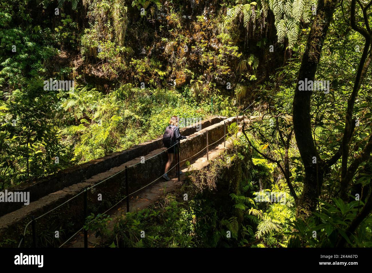 A female tourist on the Levada do Caldeirao Verde trail, Queimadas, Madeira. Portugal Stock Photo