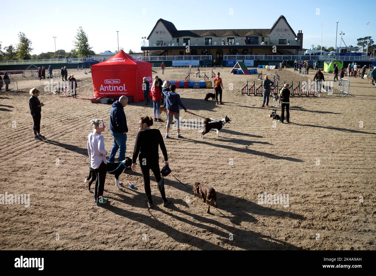 IconiX dog agility event at Dallas Burston Polo Club, Southam, Warwickshire, UK Stock Photo