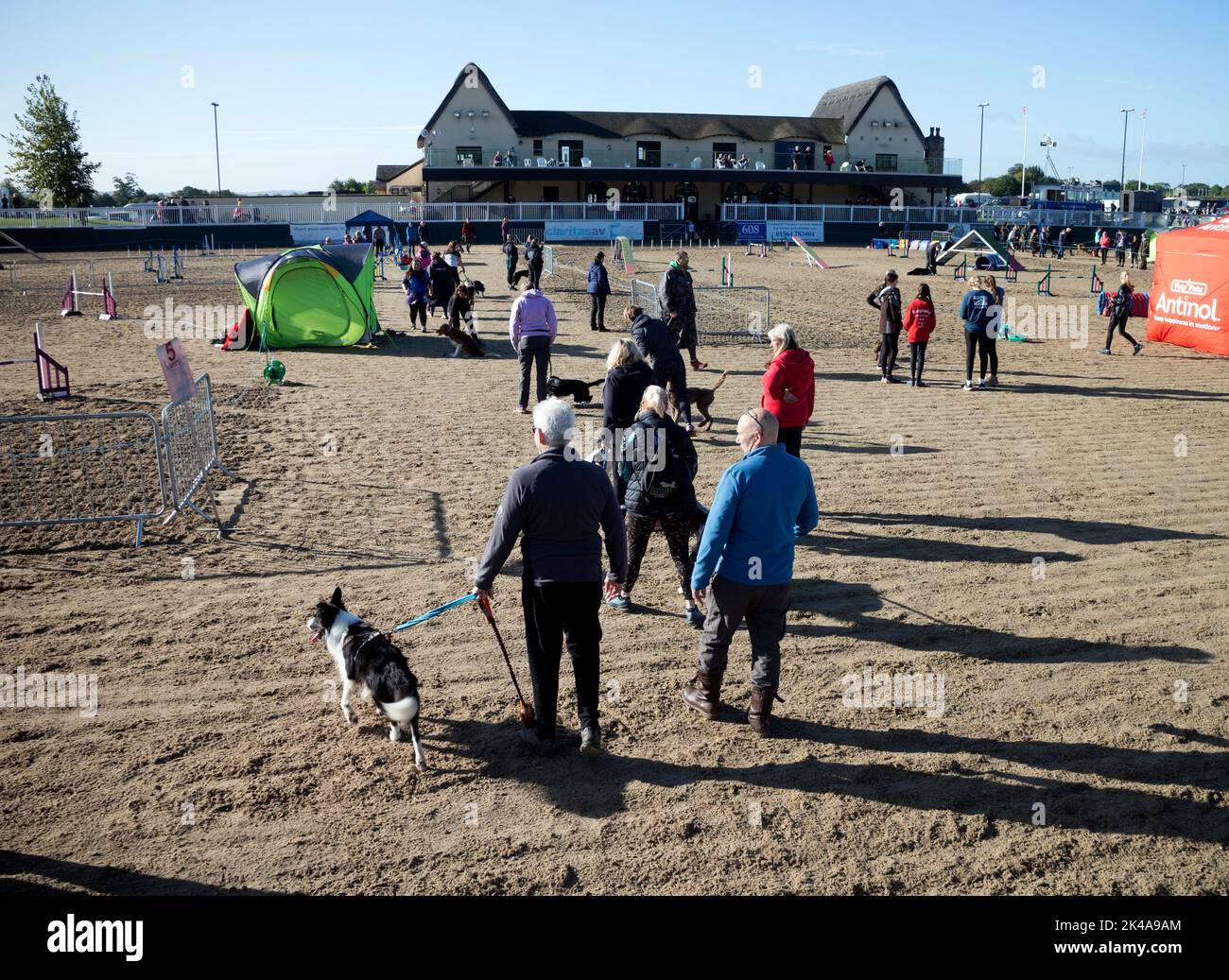 IconiX dog agility event at Dallas Burston Polo Club, Southam, Warwickshire, UK Stock Photo