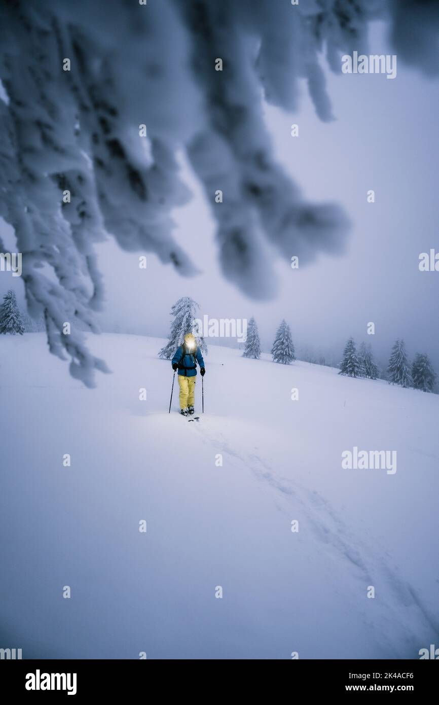 A breathtaking vertical snowy landscape with a person Alpine skiing ...