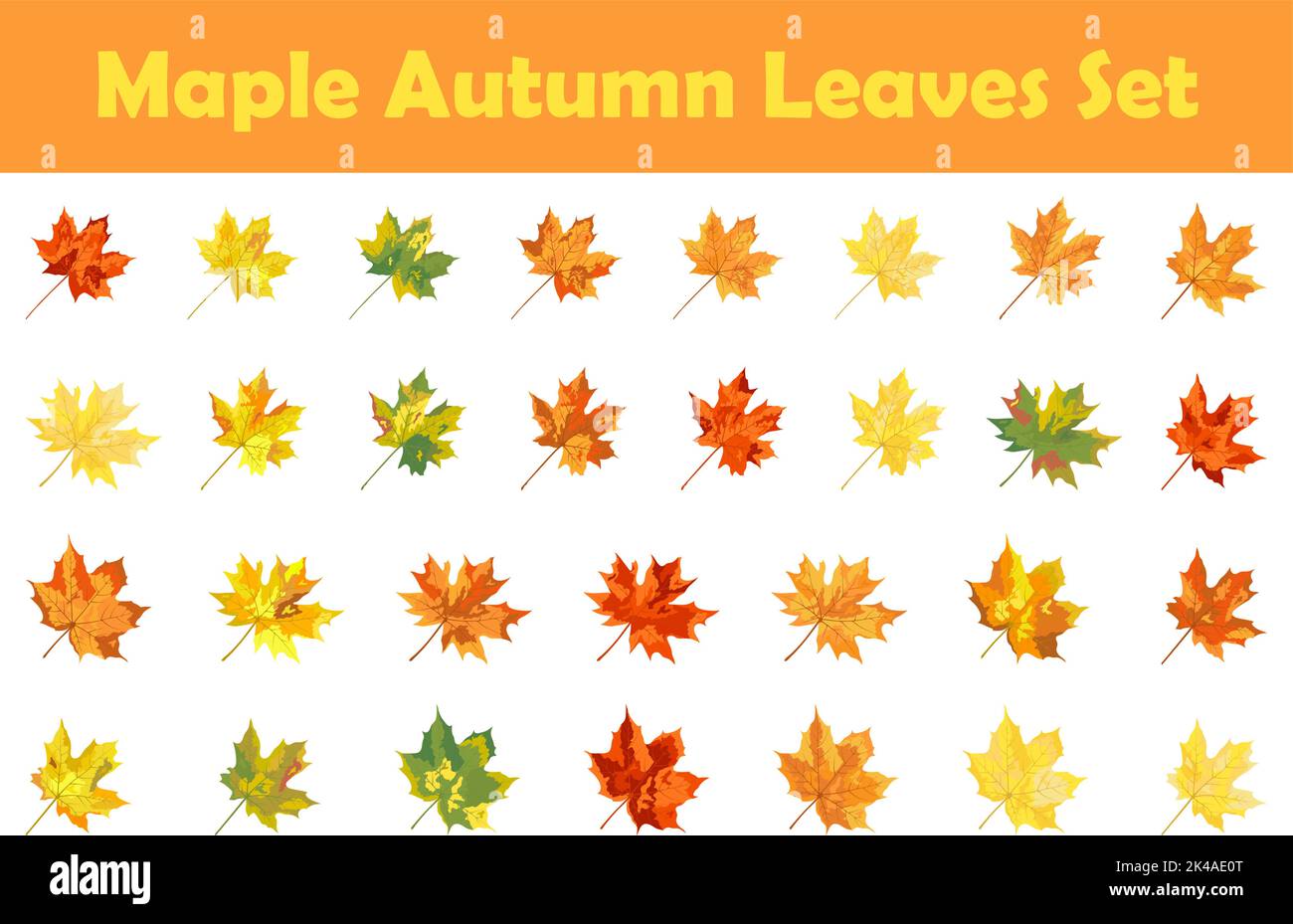 Autumn maple leaf set. Leaf fall. Vector illustration Stock Vector ...
