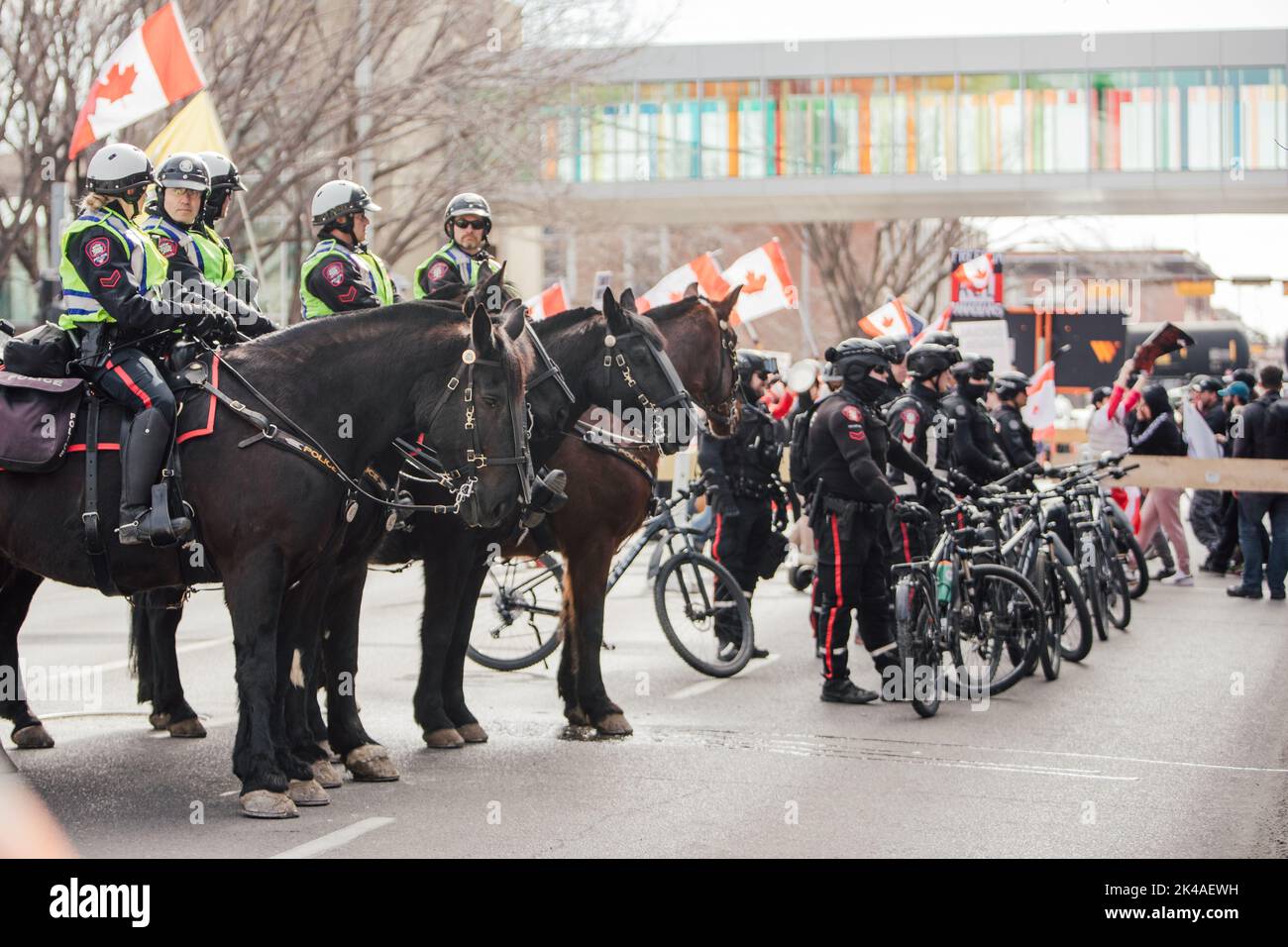 Police horses in canada hi-res stock photography and images - Alamy