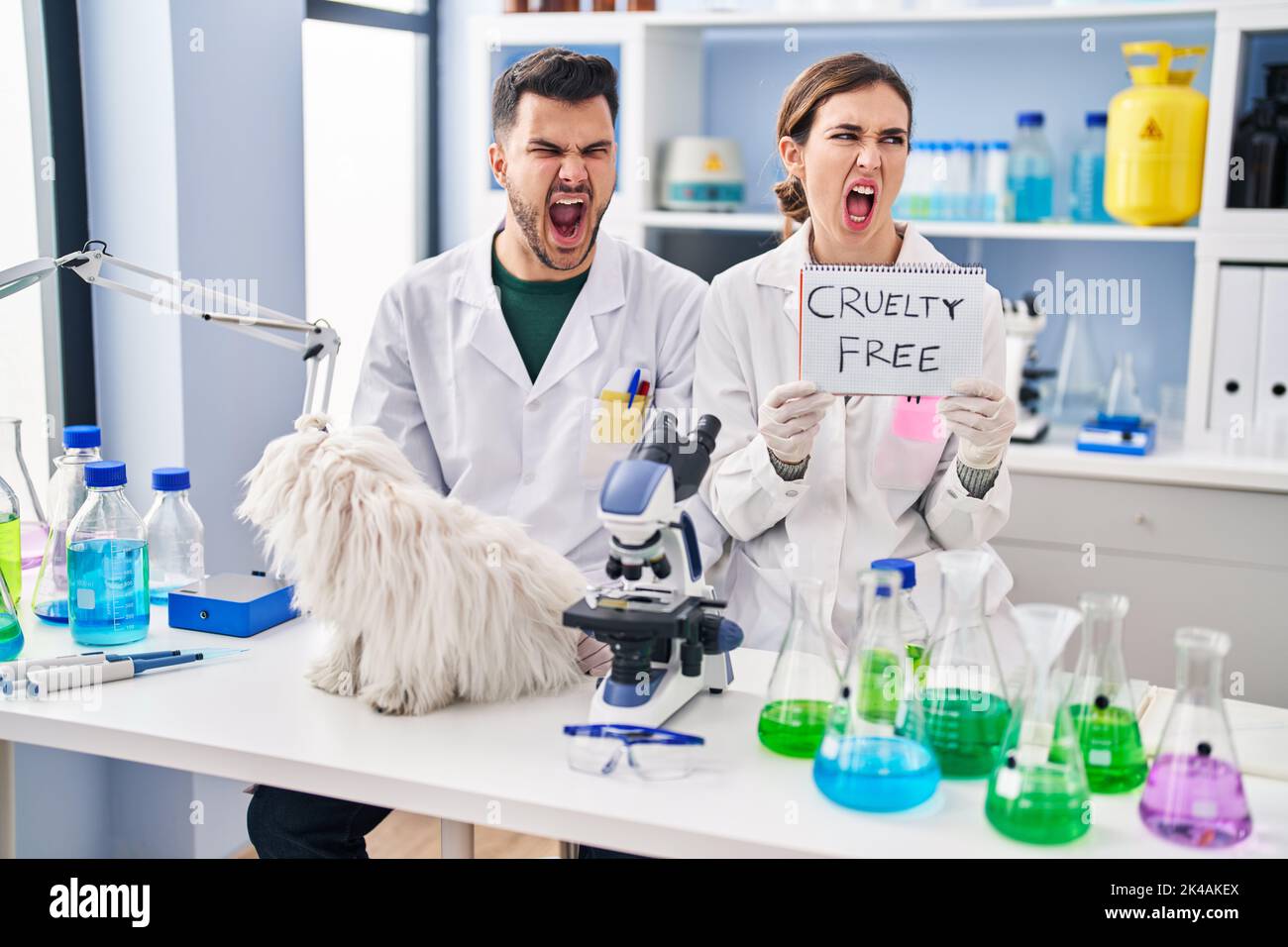 Young hispanic people working at scientist laboratory with dog angry ...