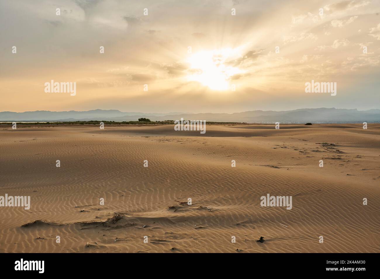Beach 'Platja del Fangar', sand dunes, Vegetation, nature reserve, ebro delta, Catalonia, Spain Stock Photo