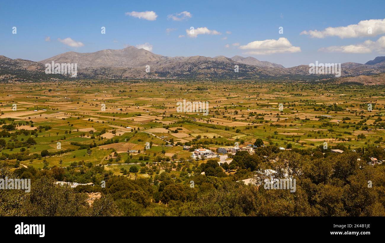 Trees and villages with yellow fields hi-res stock photography and ...