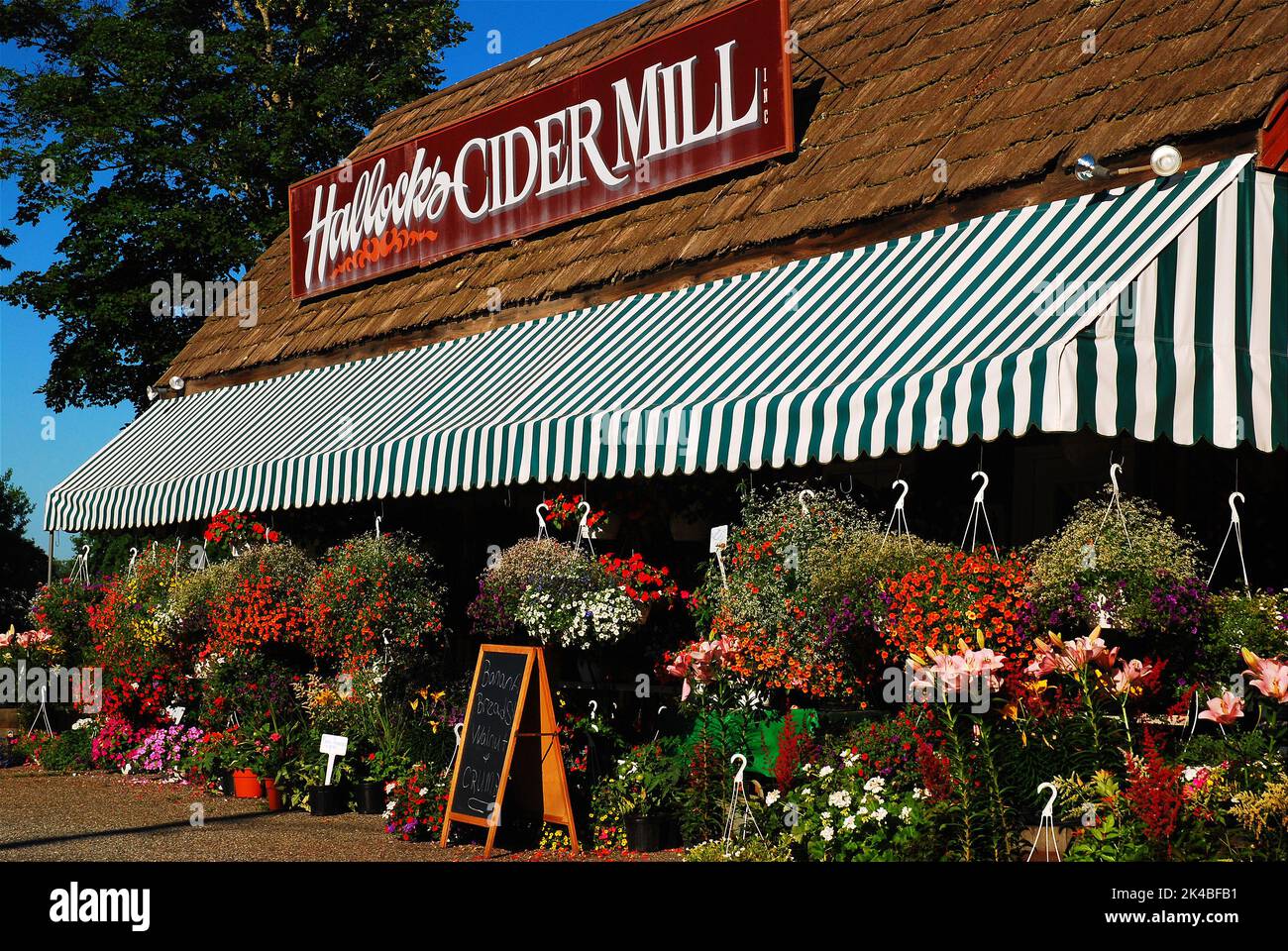 Spring flowers hang from an awning of a garden store and shop that was once a cider mill on Long Island Stock Photo