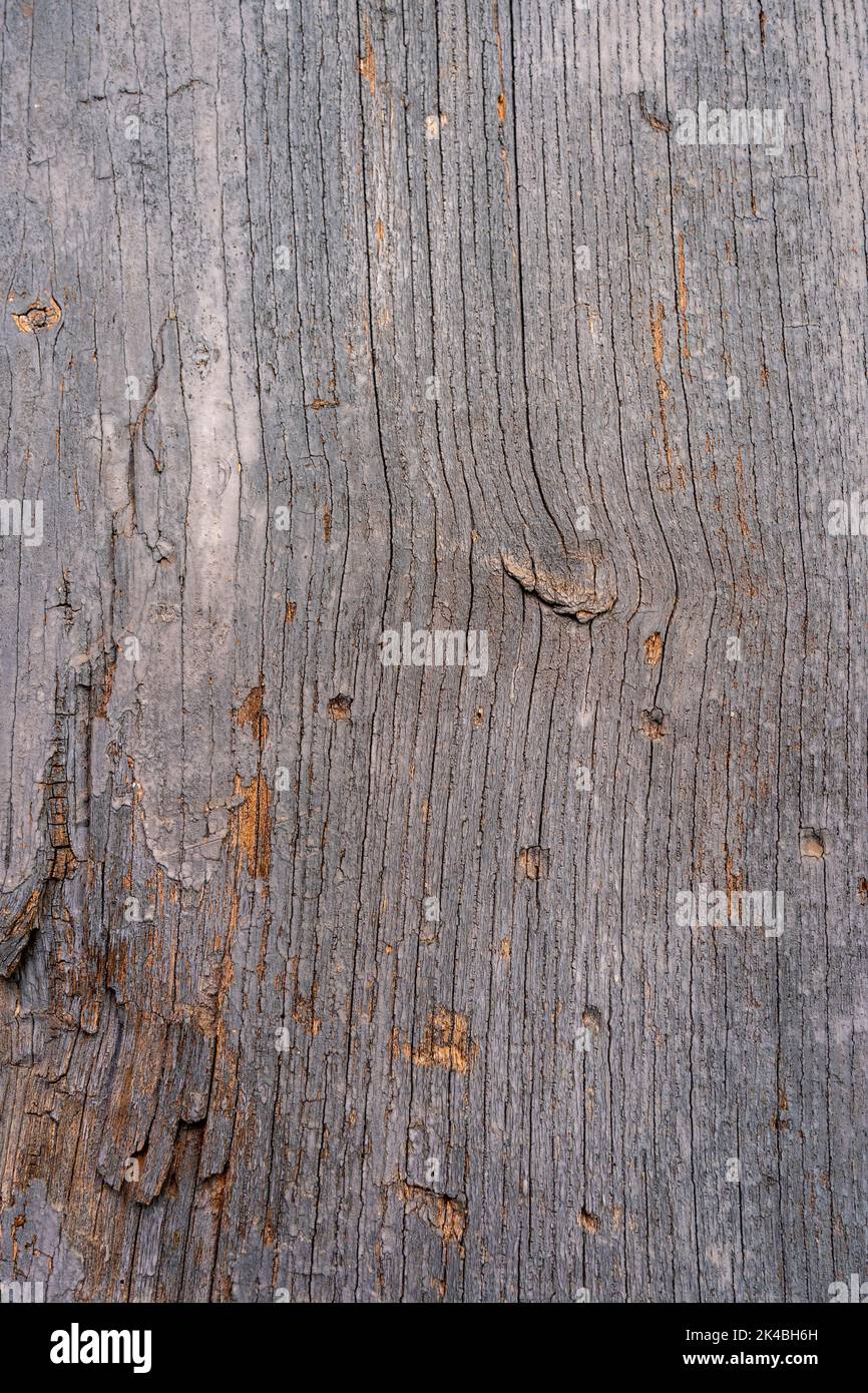Wood plank textured background material Stock Photo