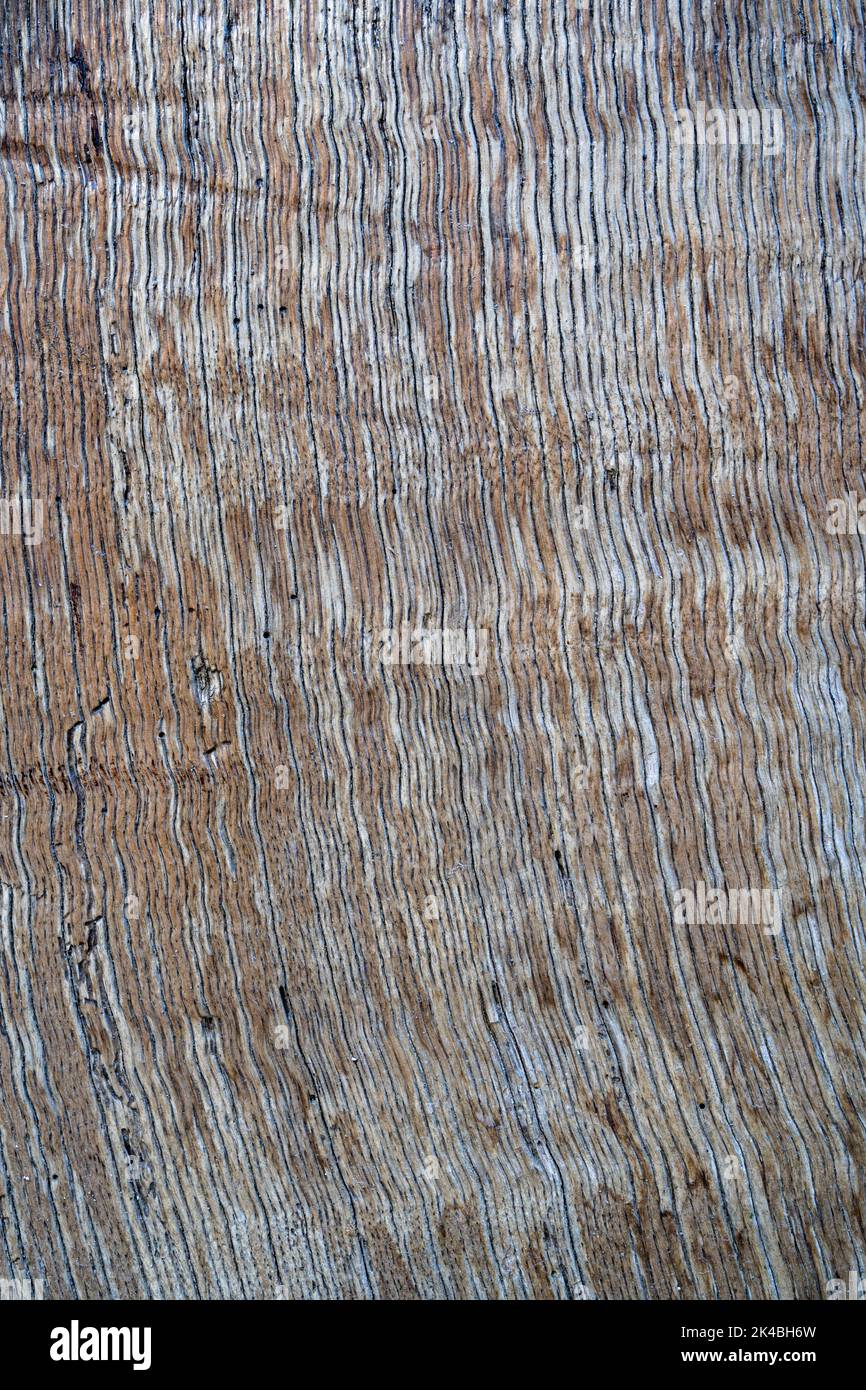 Wood plank textured background material Stock Photo